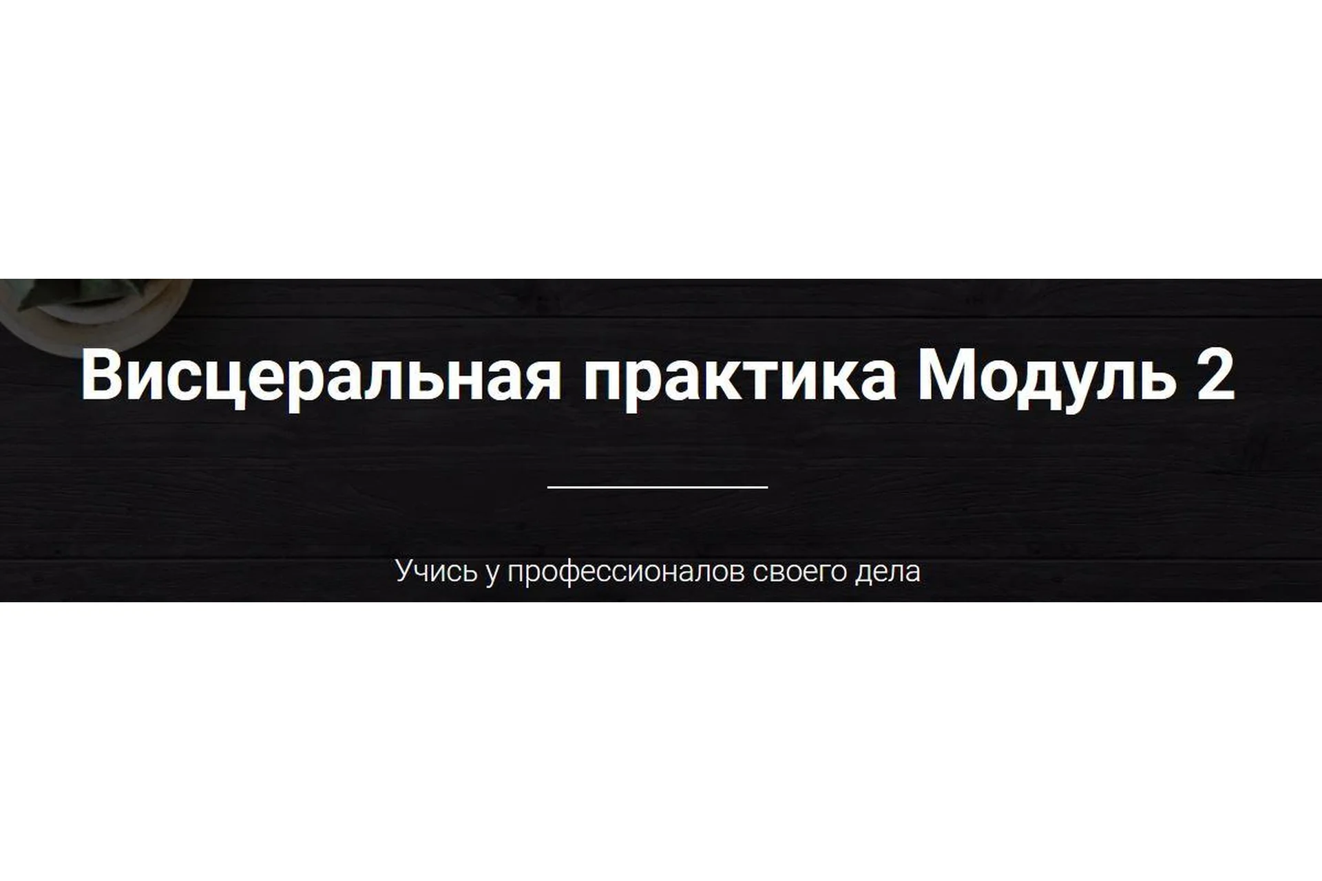 [Emnika] Висцеральная практика. Модуль 2 (Егор Москалёв), фото 1 из 1.