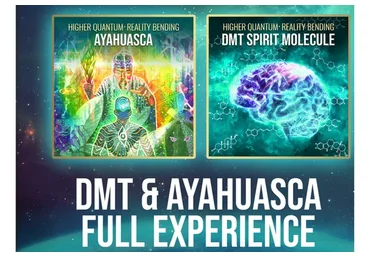[Qi Life] Коллекция психотропов, изменяющих реальность - ДМТ и Аяуаска  (David Wong)