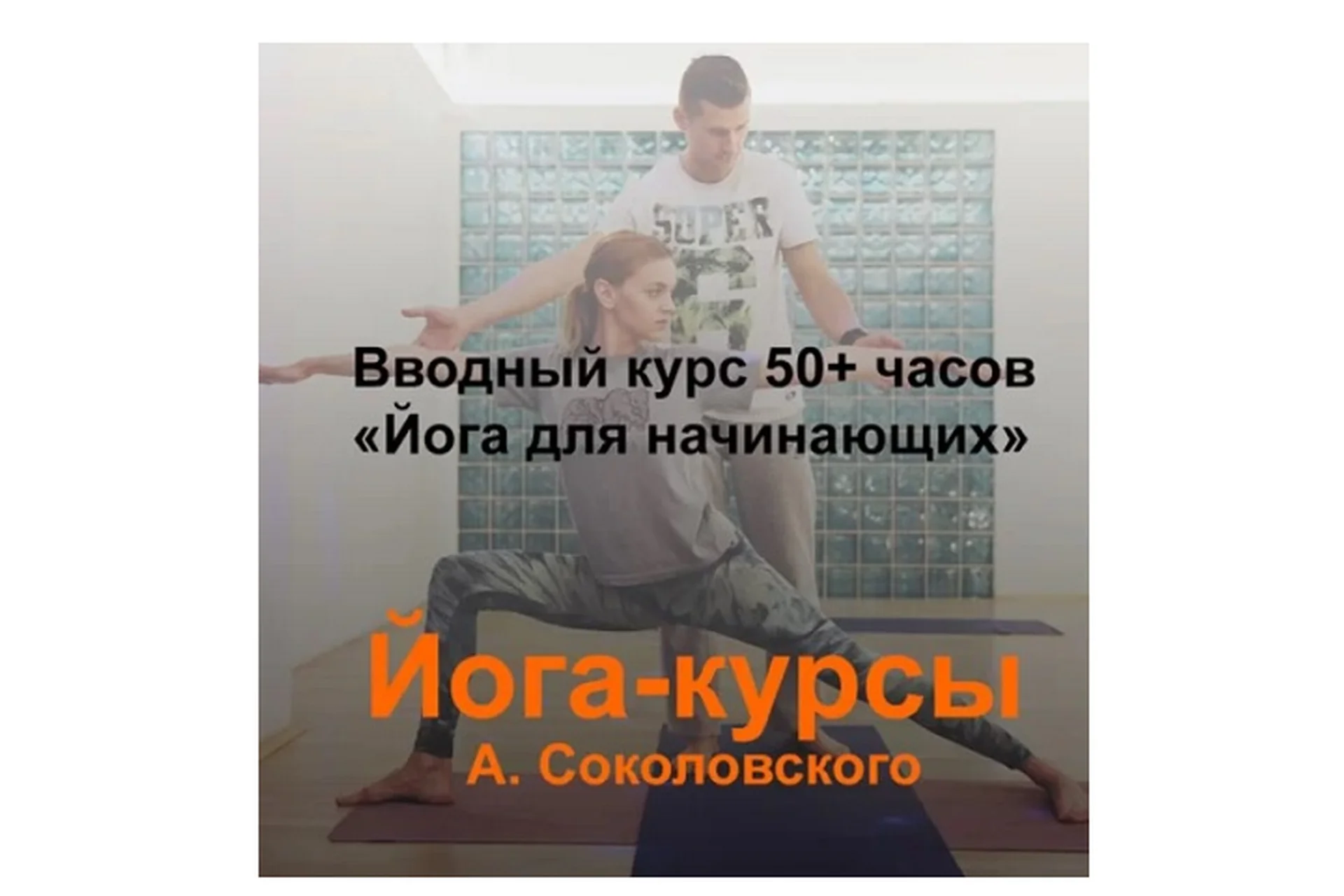 [Guru-Lab] Йога для начинающих, 50+ часов теории и практики (Алексей Соколовский), фото 1 из 1.