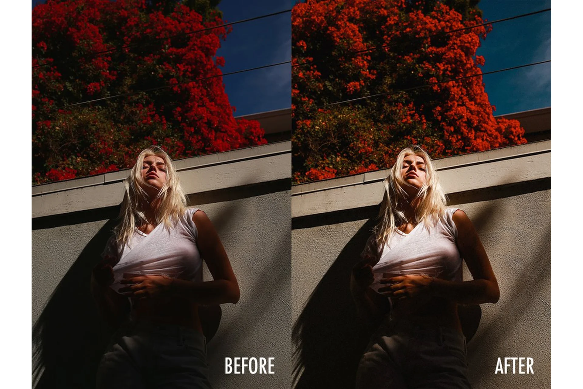 Rose Film Lightroom Presets, 2018 (Jorden Keith), фото 1 из 1.