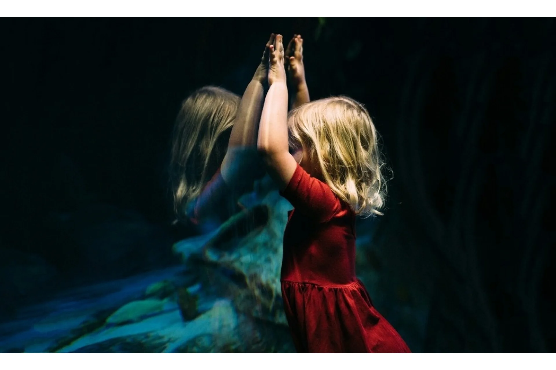 Твои Таланты (Дмитрий Богацкий), фото 1 из 1.