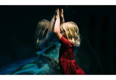 Твои Таланты (Дмитрий Богацкий)