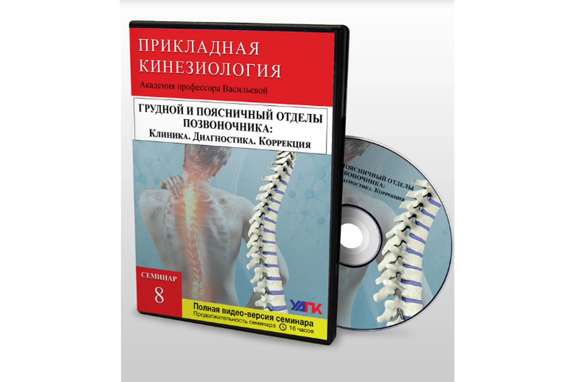 [УАПК] Мануальная терапия поясничного и грудного отделов позвоночника, семинар 8 (Михаил Савиных), фото 1 из 1.