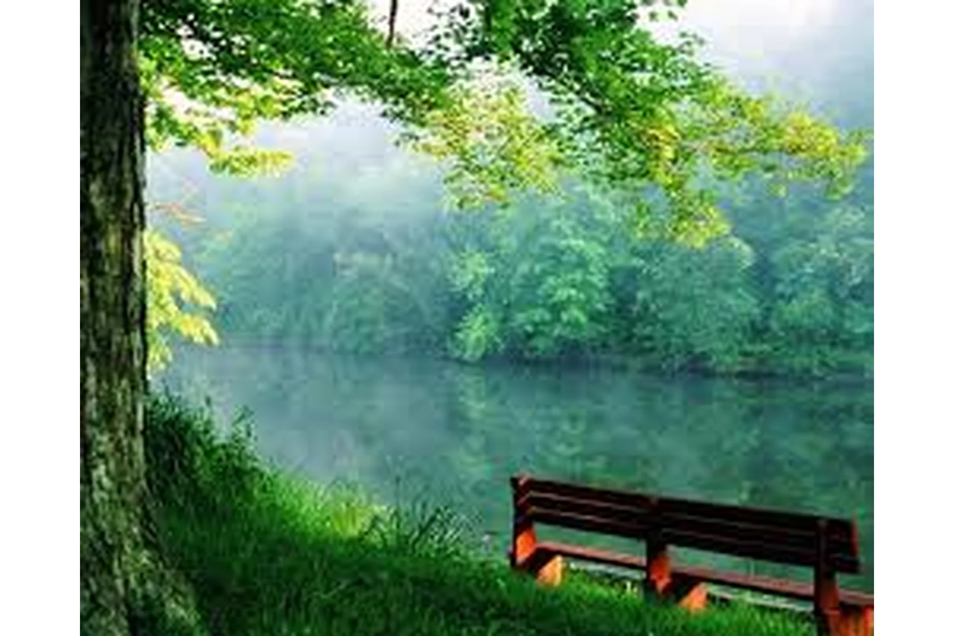 [Аудиокурс] Самогипноз для здоровья (Яна Лан), фото 1 из 1.