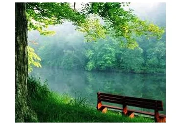 [Аудиокурс] Самогипноз для здоровья (Яна Лан)