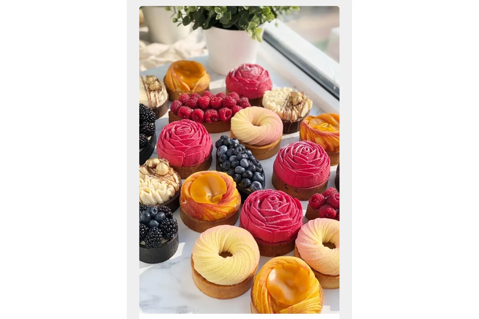 Тарты и шу. Тариф Расширенный (Александра Шинкаренко), фото 1 из 1.