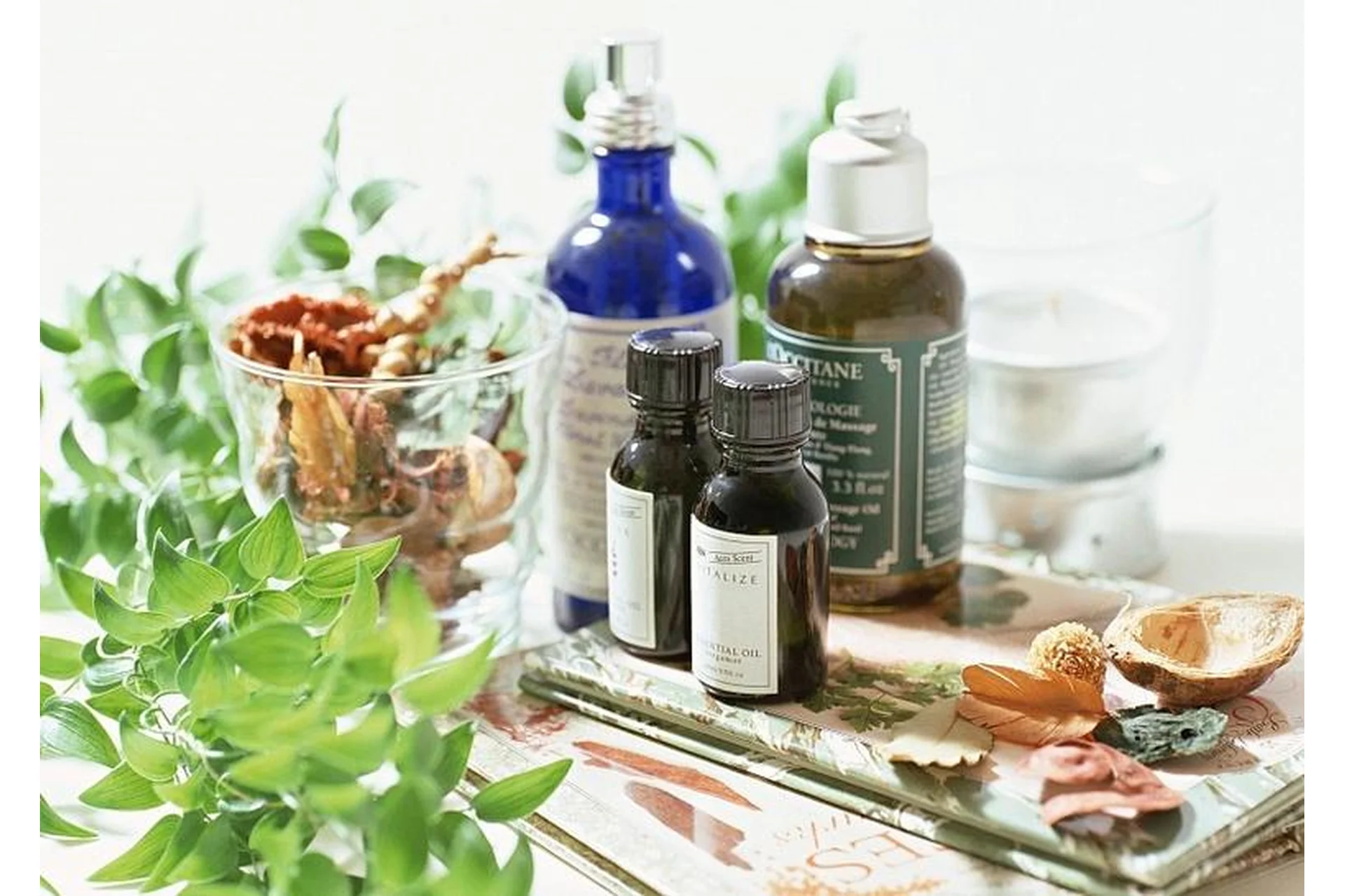 Рождение ароматерапевта или введение в Клиническую ароматерапию. 2 блок (Александра Кожевникова), фото 1 из 1.