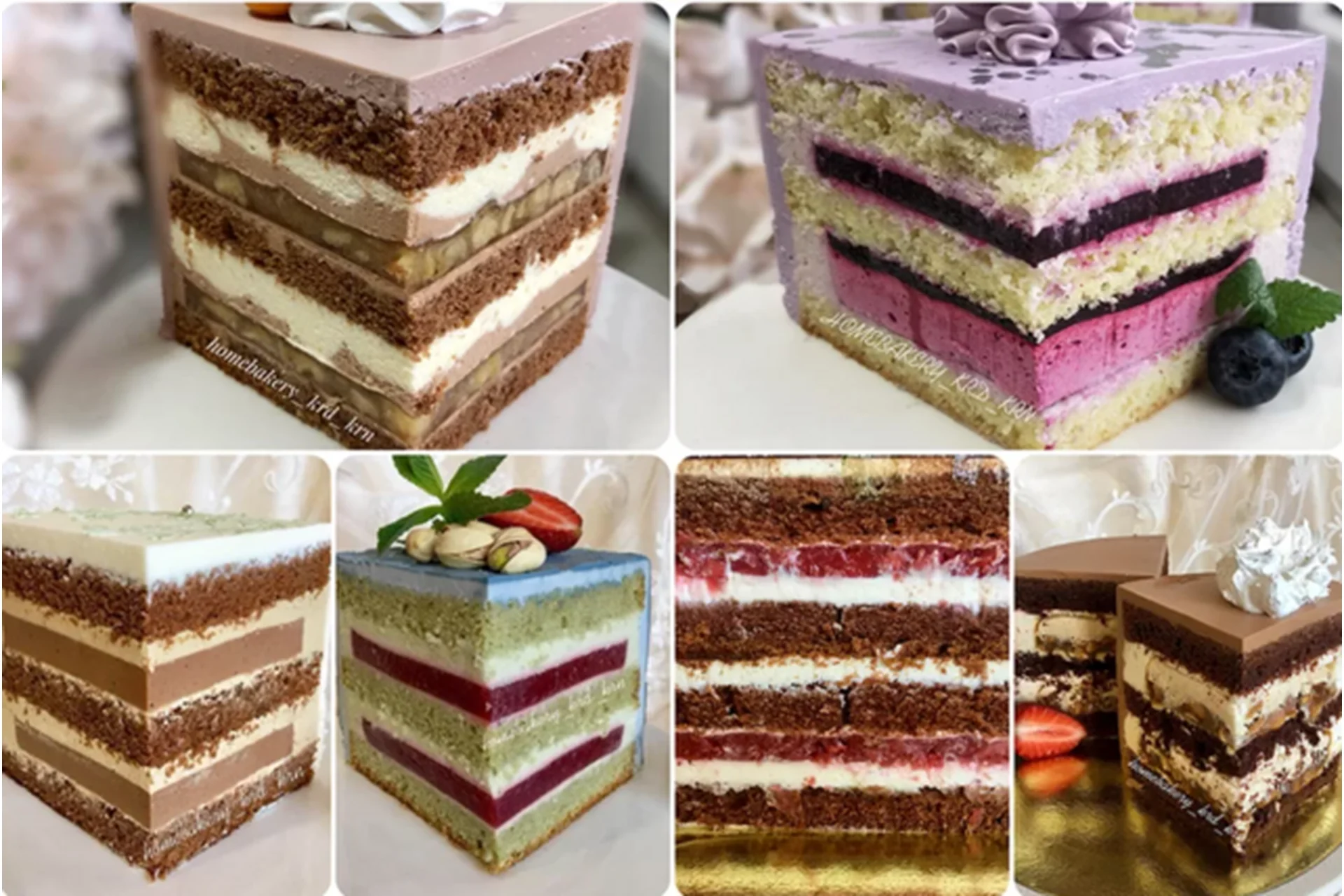 10 рецептов бисквитно-муссовых тортов (Надежда Коломейцева), фото 1 из 1.