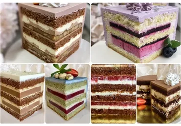 10 рецептов бисквитно-муссовых тортов (Надежда Коломейцева)