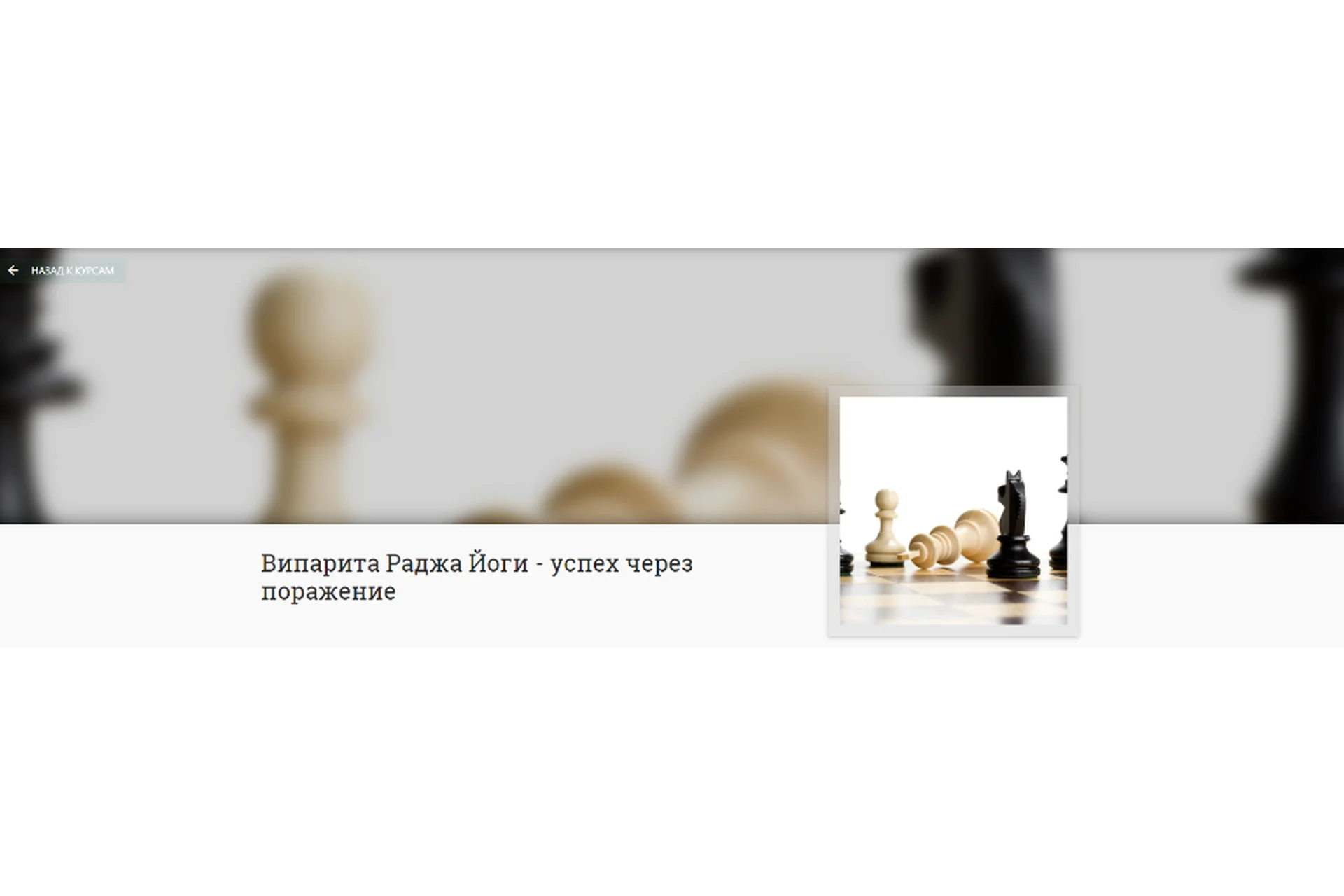 Випарита Раджа Йоги - успех через поражение (Анна Ласточкина), фото 1 из 1.