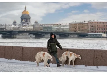 Городография, весна 2021. Лекции в записи с обратной связью (Александр Петросян)