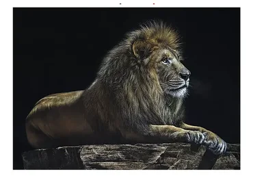 Пастельная живопись. Лев. Кошачьи (Юлия Дубинина)