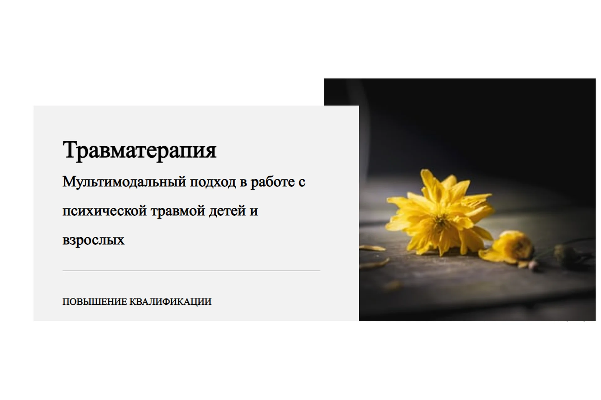 Травматерапия. 1 модуль. Введение в кризисную психологию (Виктория Унтерова), фото 1 из 1.