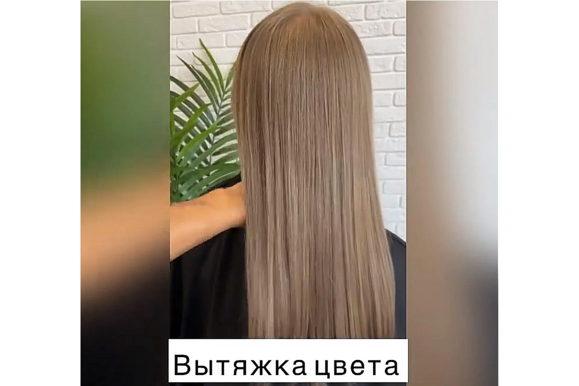 Вытяжка цвета и пенные бани (Татьяна Лисина), фото 1 из 1.