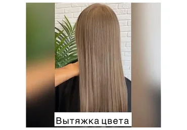 Вытяжка цвета и пенные бани (Татьяна Лисина)