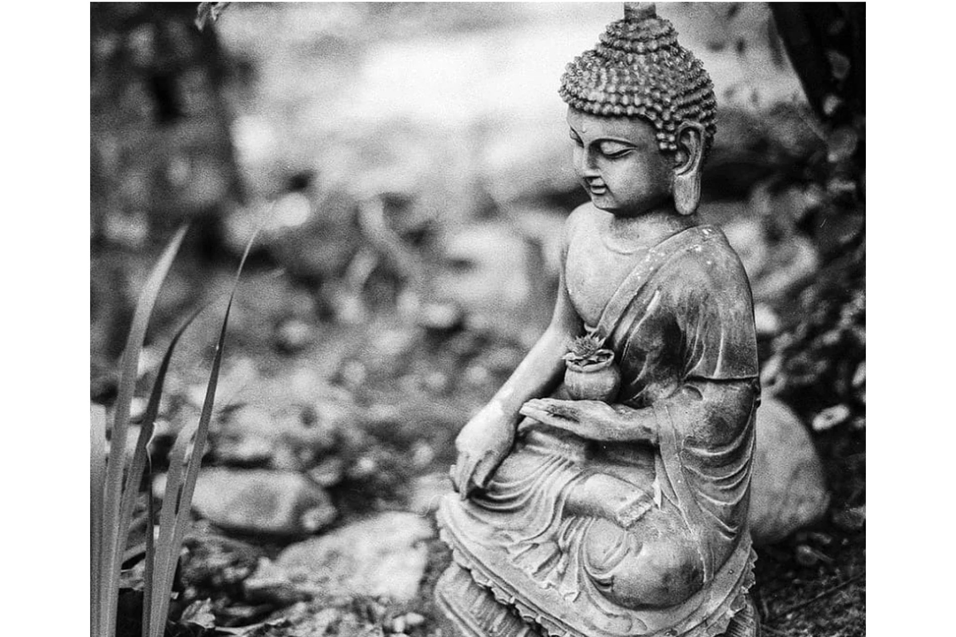 Основные Законы Успеха. Дзен для начинающих (Галина Хенсель), фото 1 из 1.