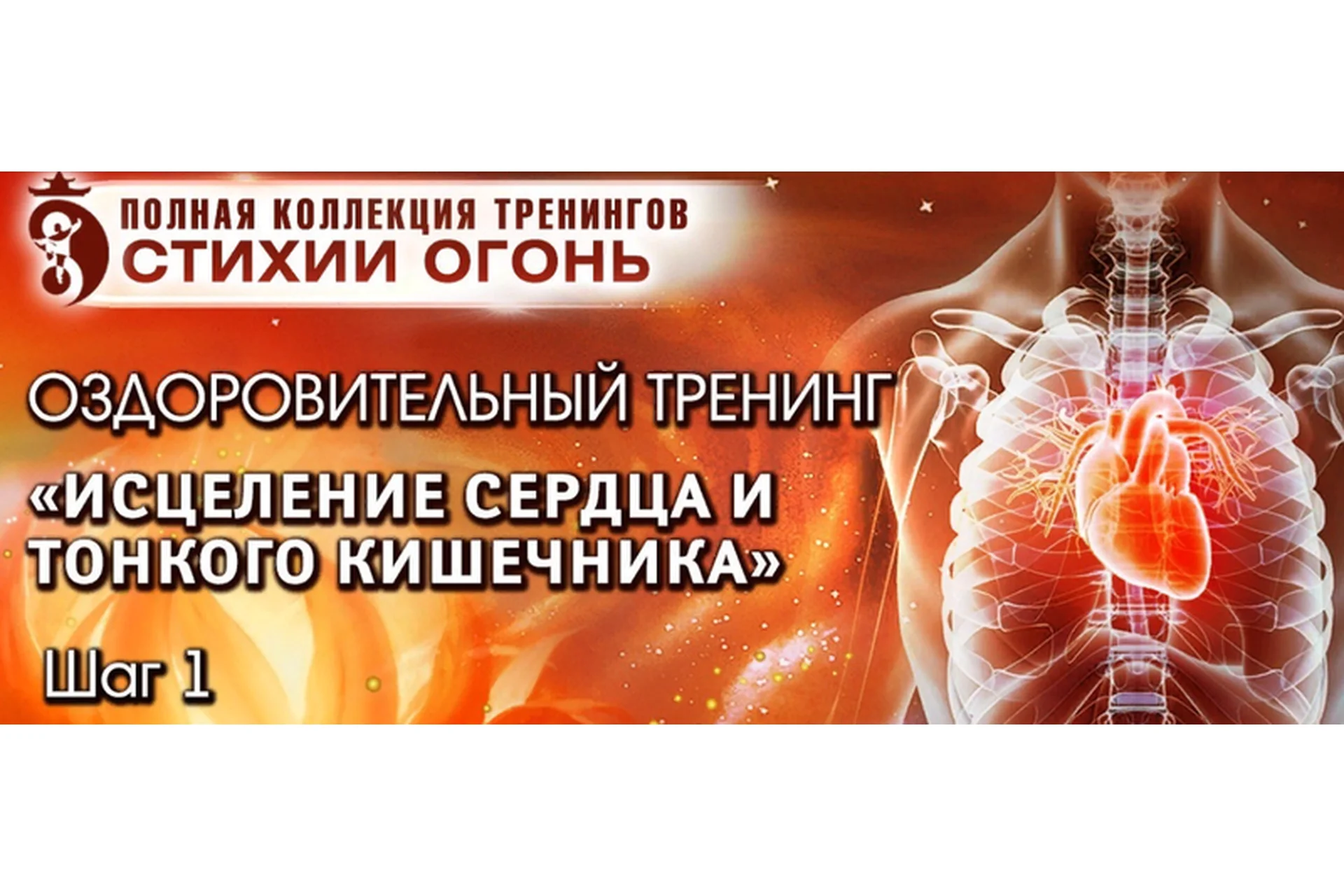Стихия Огонь. Исцеление Сердца и Тонкого Кишечника. Пакет ВИП (Владимир Осипов), фото 1 из 1.