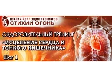 Стихия Огонь. Исцеление Сердца и Тонкого Кишечника. Пакет ВИП (Владимир Осипов)