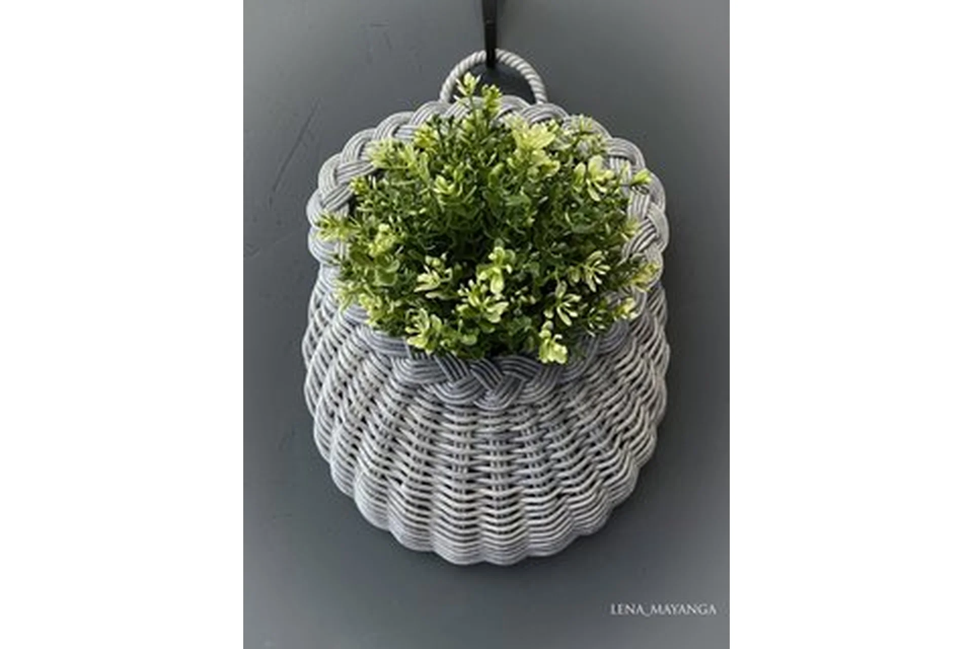 Дорбаскет с косой (Елена Гайнанова), фото 1 из 1.