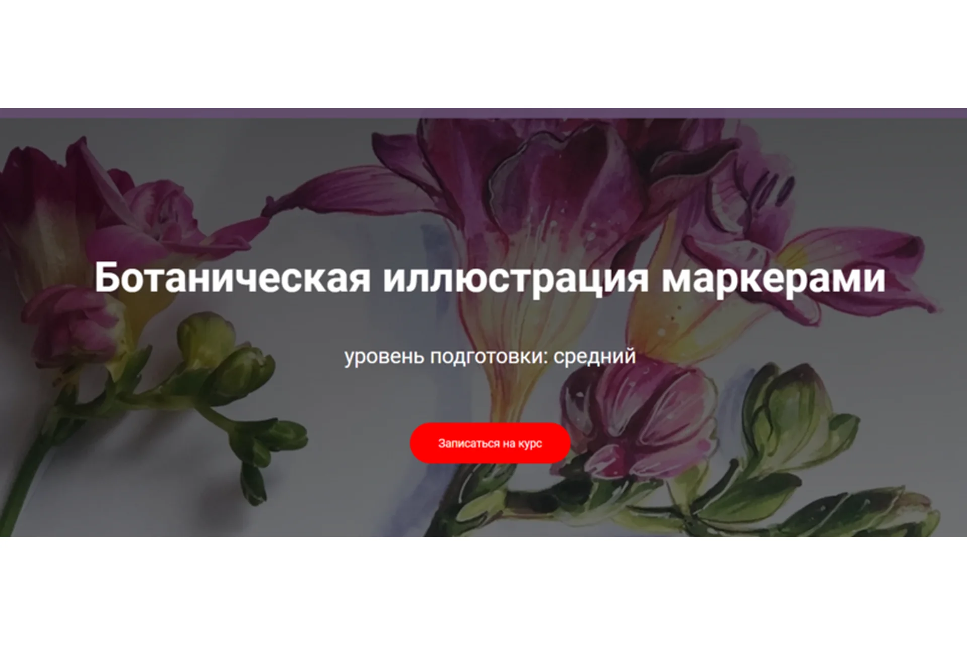 [sketch&draw] Ботаническая иллюстрация маркерами (Ирина Шельменко), фото 1 из 1.