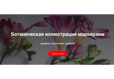 [sketch&draw] Ботаническая иллюстрация маркерами (Ирина Шельменко)