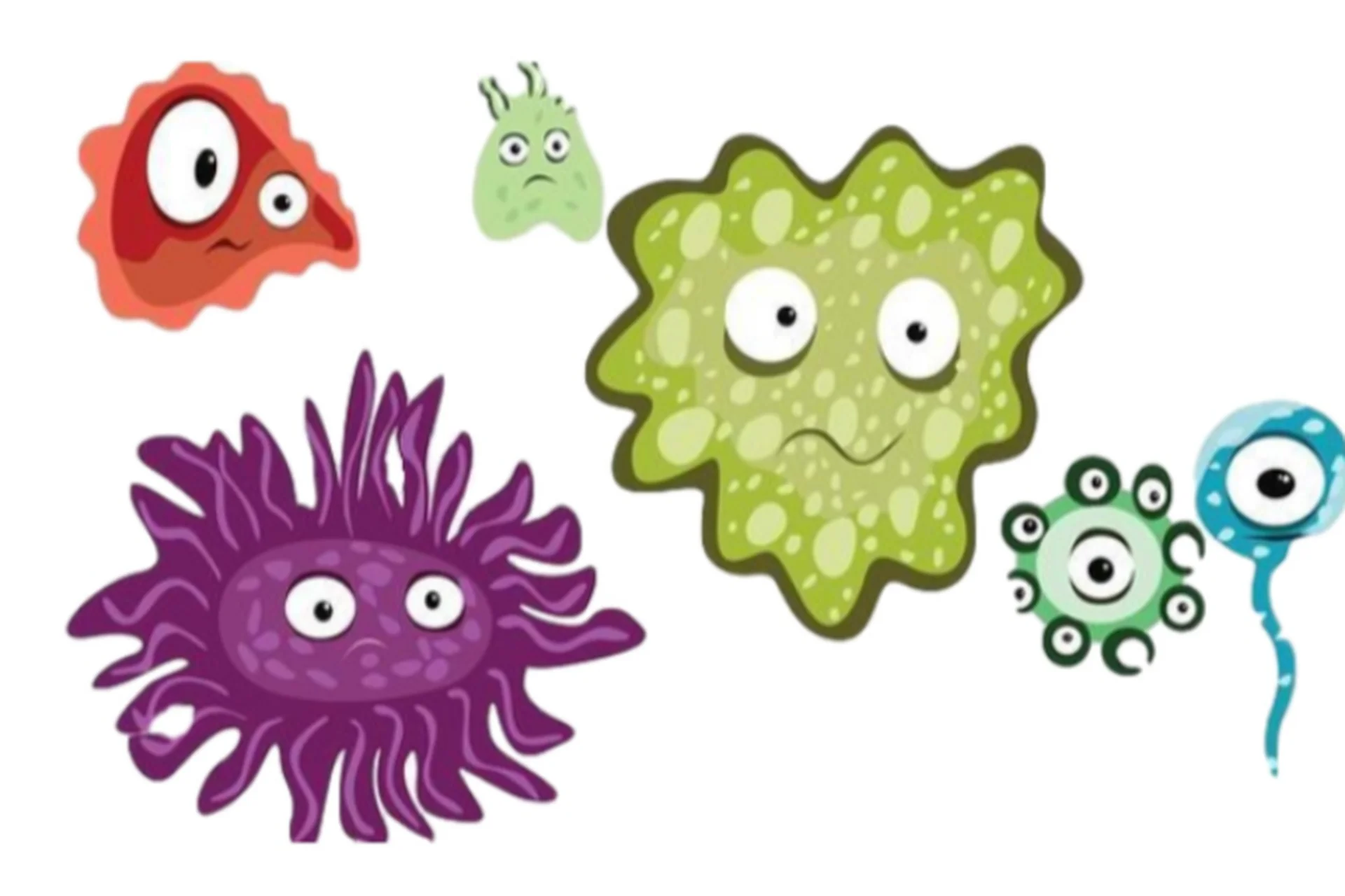 Базовая вирусология (Мария Моргунова), фото 1 из 1.