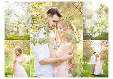 Кондитерская Фабрика по Фотографии (Павел Михайлов)