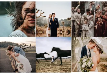 Шикарные пресеты. Arcadian Collection (Rooke & Rover)