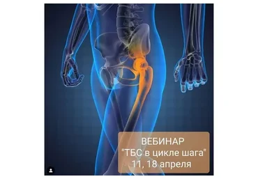 Тазобедренный сустав в цикле шага (Денис Никифоров, Дарья Тропкина)