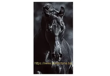 Вороной конь (Юлия Дубинина)