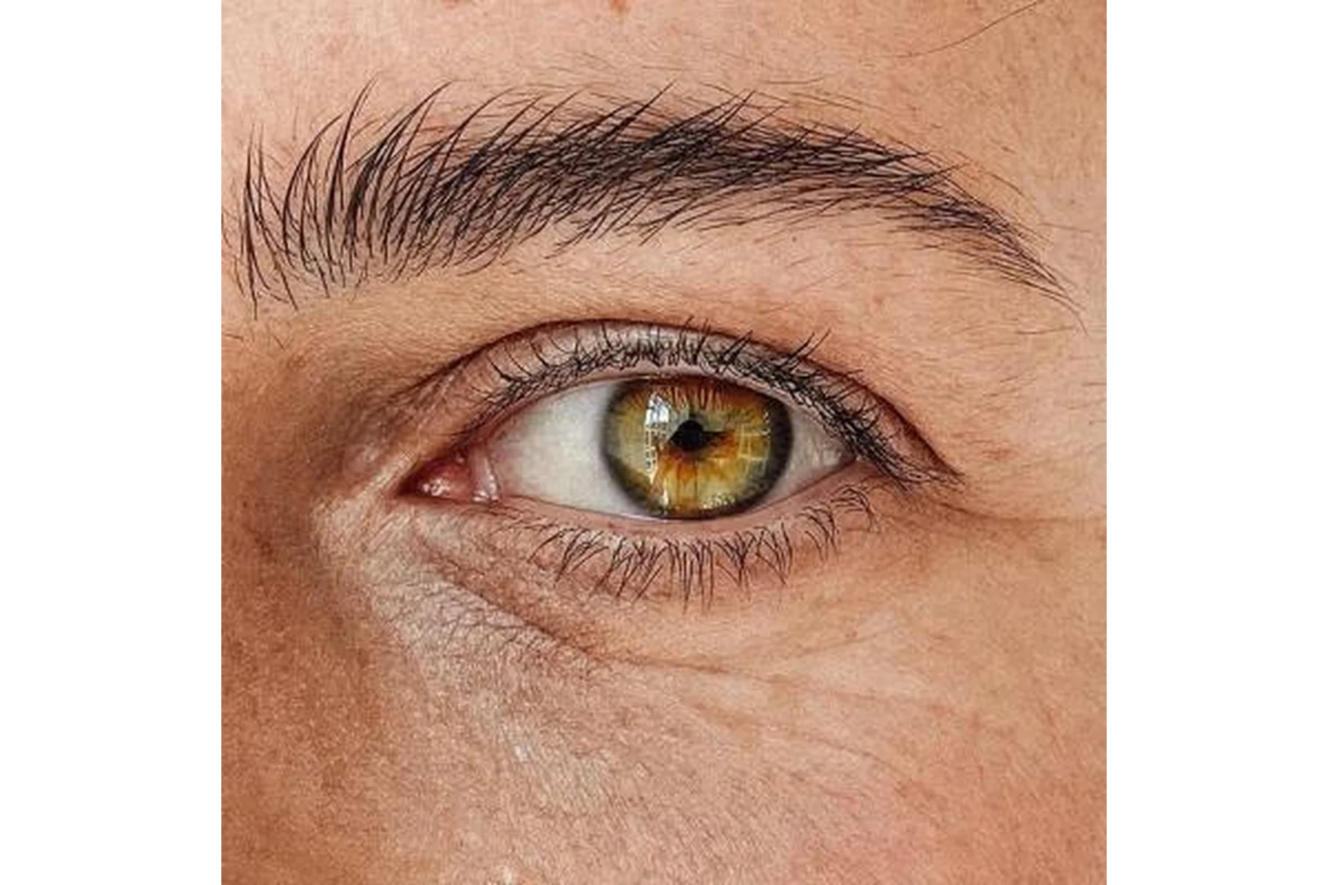 Очей очарование, 2014 (Алёна Дмитриева), фото 1 из 1.