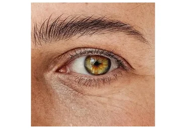 Очей очарование, 2014 (Алёна Дмитриева)