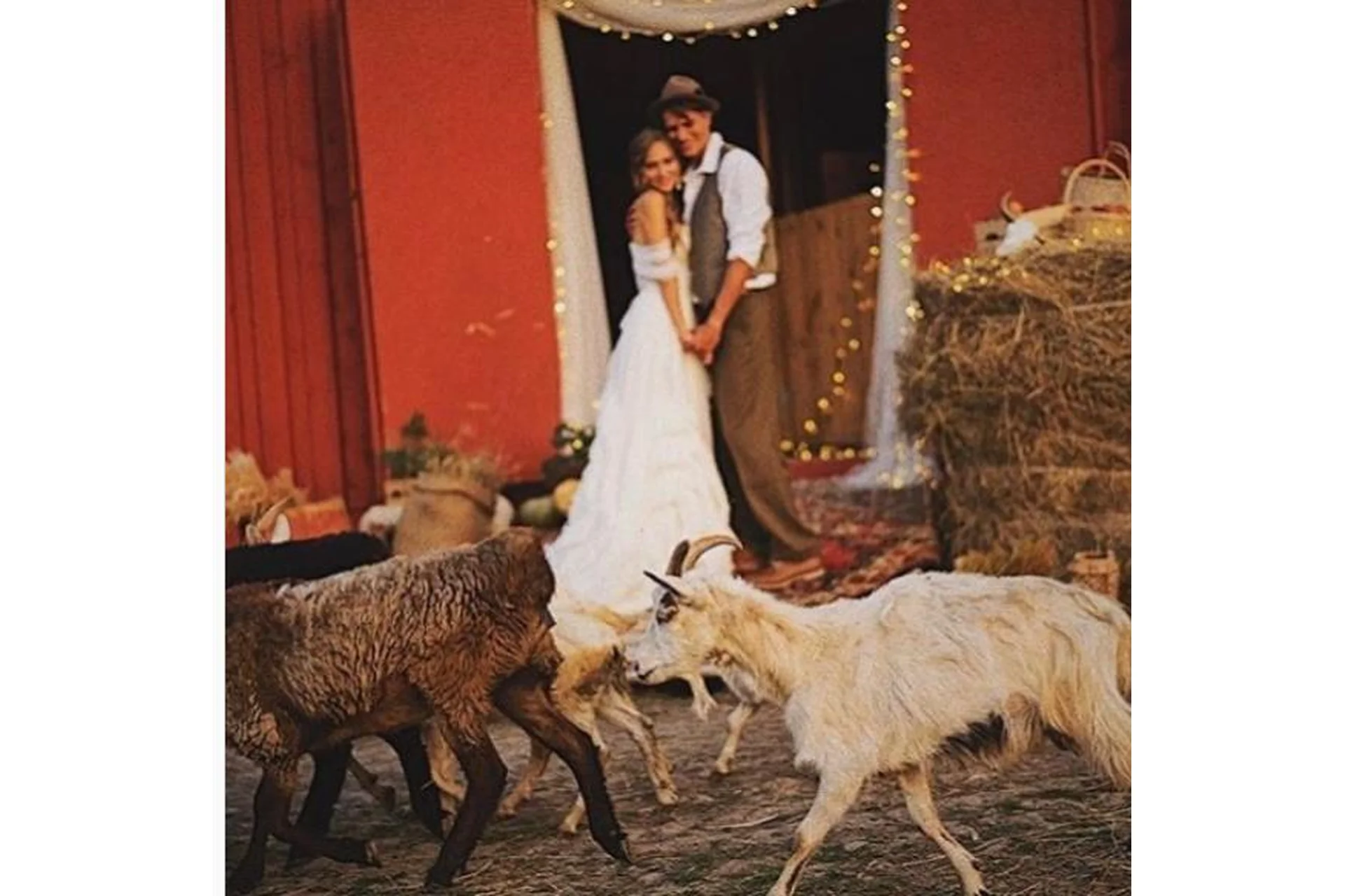 Фотосъемка, обработка фото и продвижение (Юлия Трегубова), фото 1 из 1.