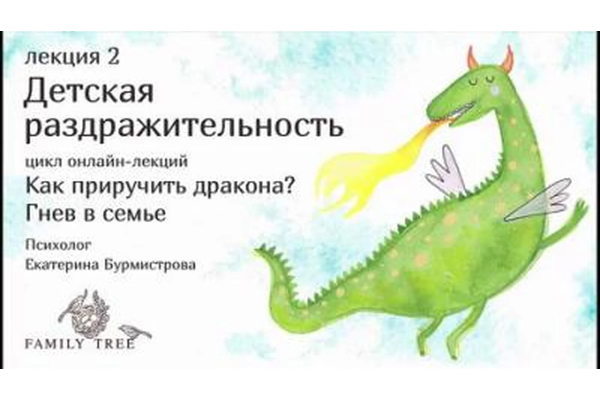 Как приручить дракона? Лекция 2. Детская раздражительность (Екатерина Бурмистрова), фото 1 из 1.