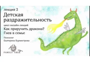 Как приручить дракона? Лекция 2. Детская раздражительность (Екатерина Бурмистрова)