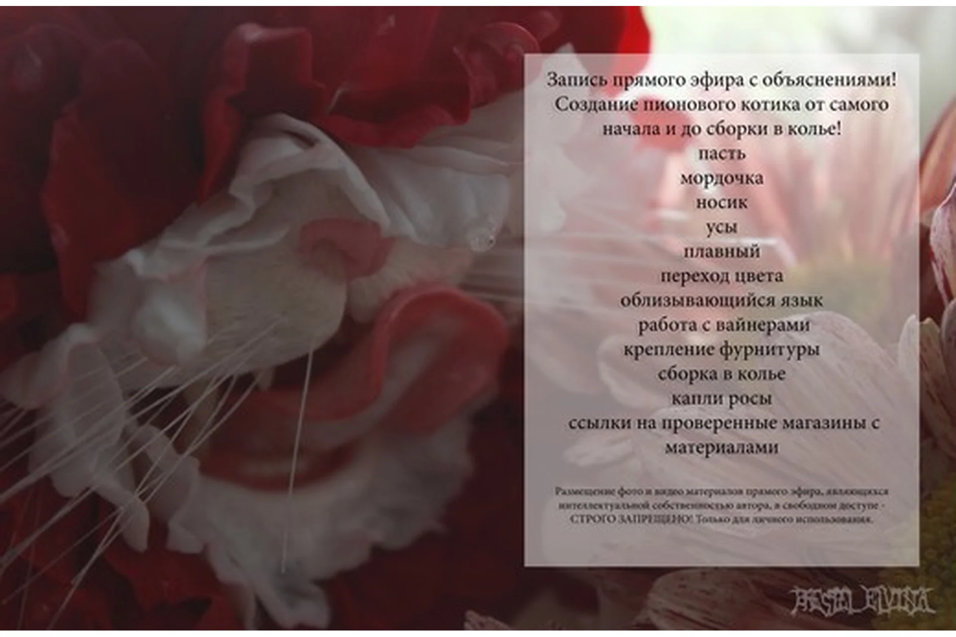 Мастер-класс по лепке мордочки кота. Стилизация (Эльвина Брестель), фото 1 из 1.