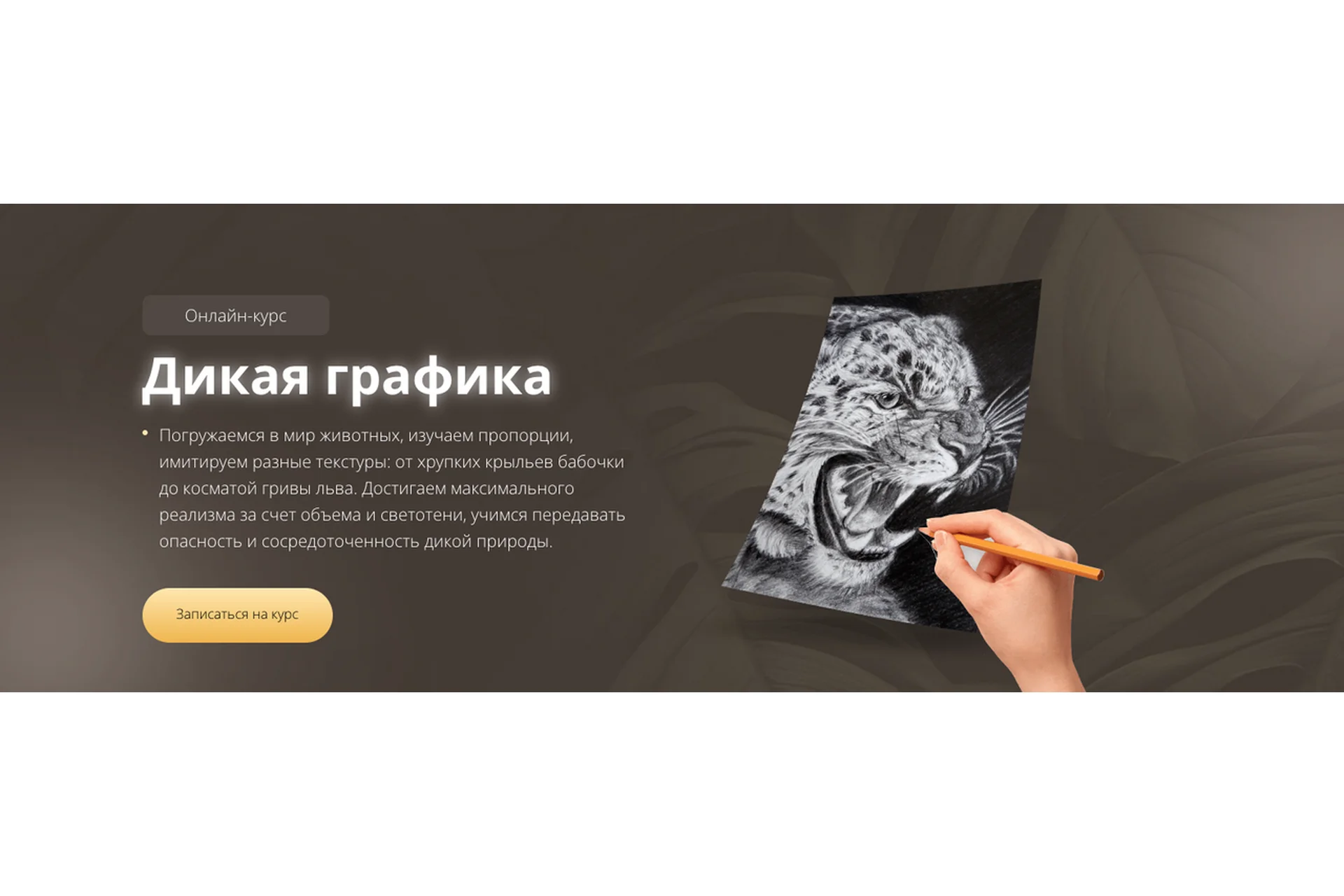 Дикая графика. Пакет Gold (Егор Матита), фото 1 из 1.