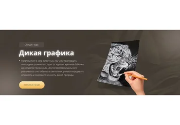 Дикая графика. Пакет Gold (Егор Матита)