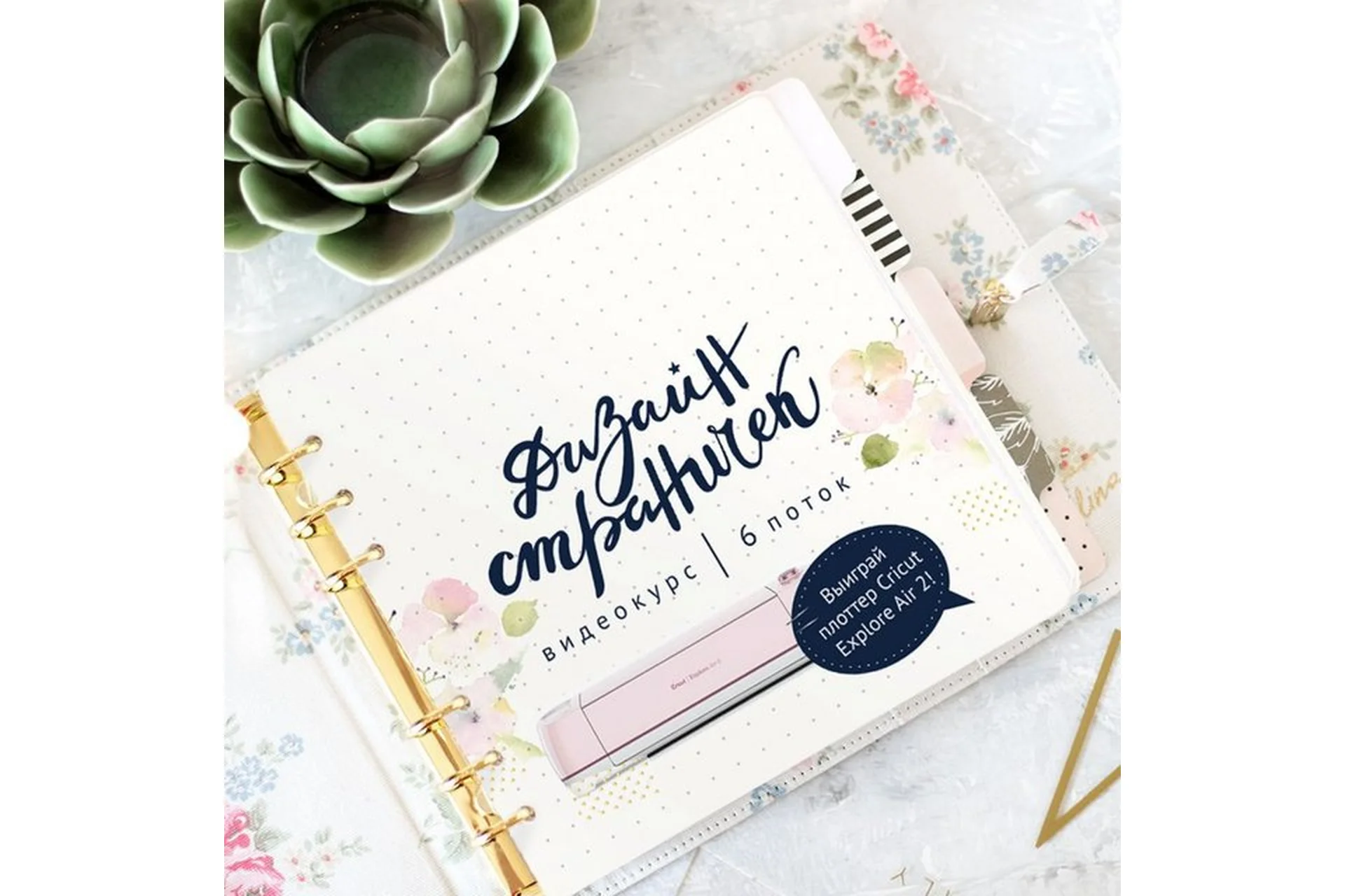 [Pinky pink] Дизайн страничек (Жанна Хуснулина), фото 1 из 1.