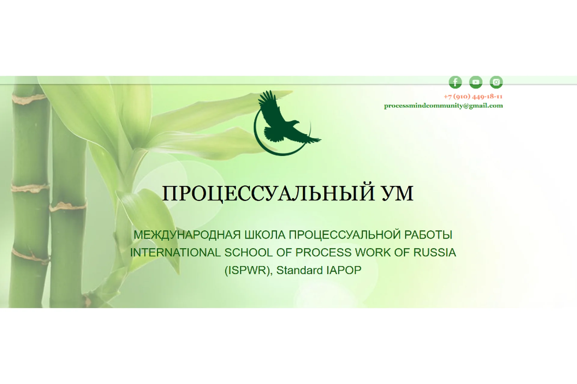 Углубленная работа с Сущностным уровнем в процесс-ориентированном подходе (Ирина Зингерман), фото 1 из 1.