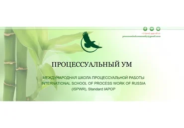 Углубленная работа с Сущностным уровнем в процесс-ориентированном подходе (Ирина Зингерман)