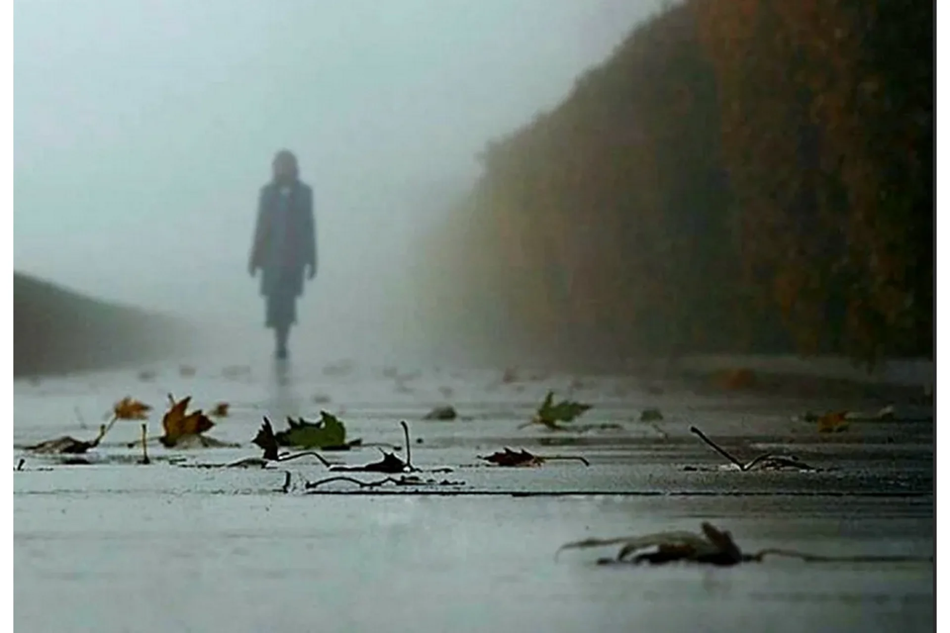 Выключить ген страдания (Лина Томан), фото 1 из 1.