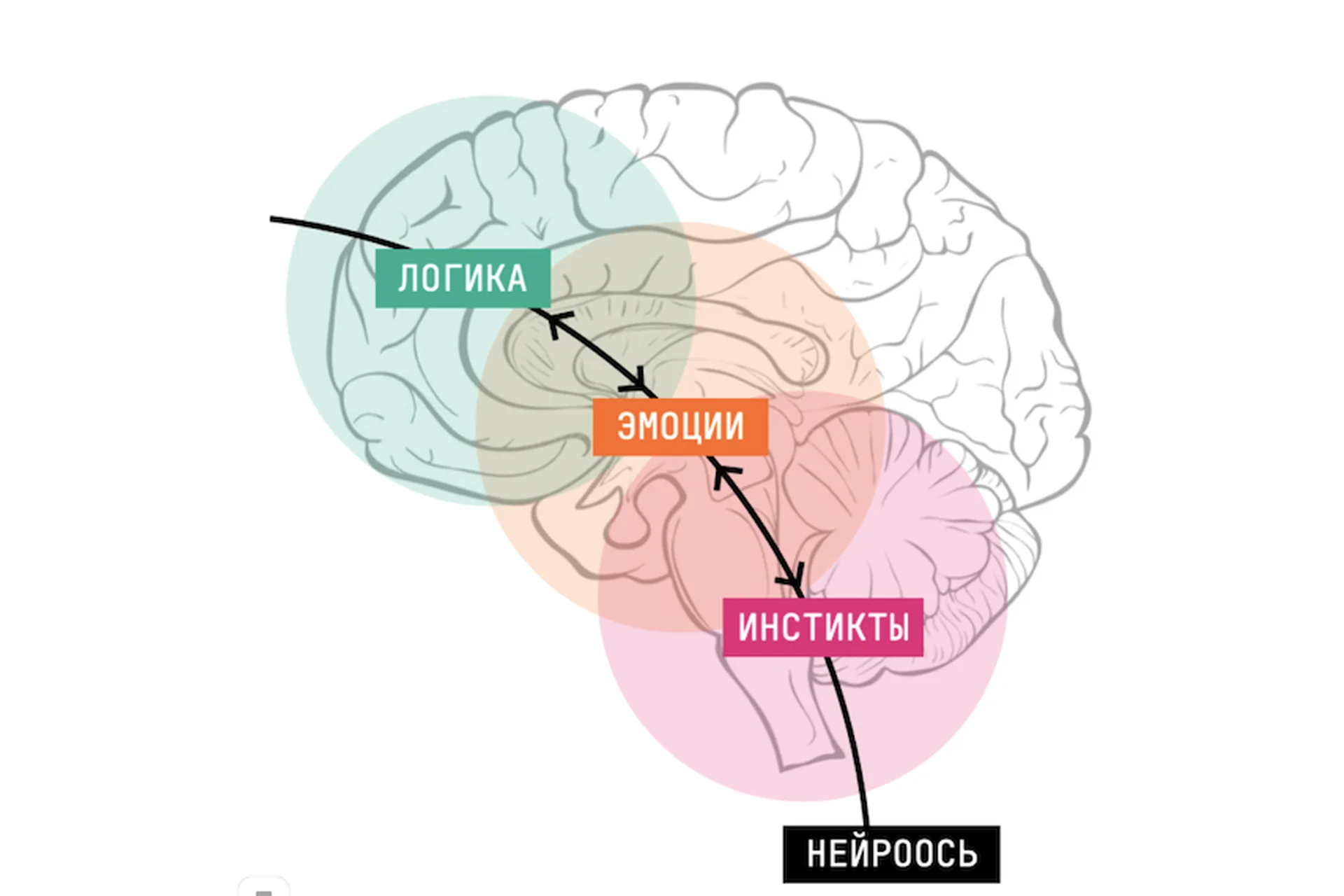 Новая орбита. Обновленный нейрокоучинг для достижения целей. Базовый (Катерина Ленгольд), фото 1 из 1.