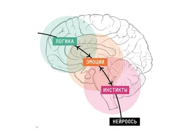 Новая орбита. Обновленный нейрокоучинг для достижения целей. Базовый (Катерина Ленгольд)