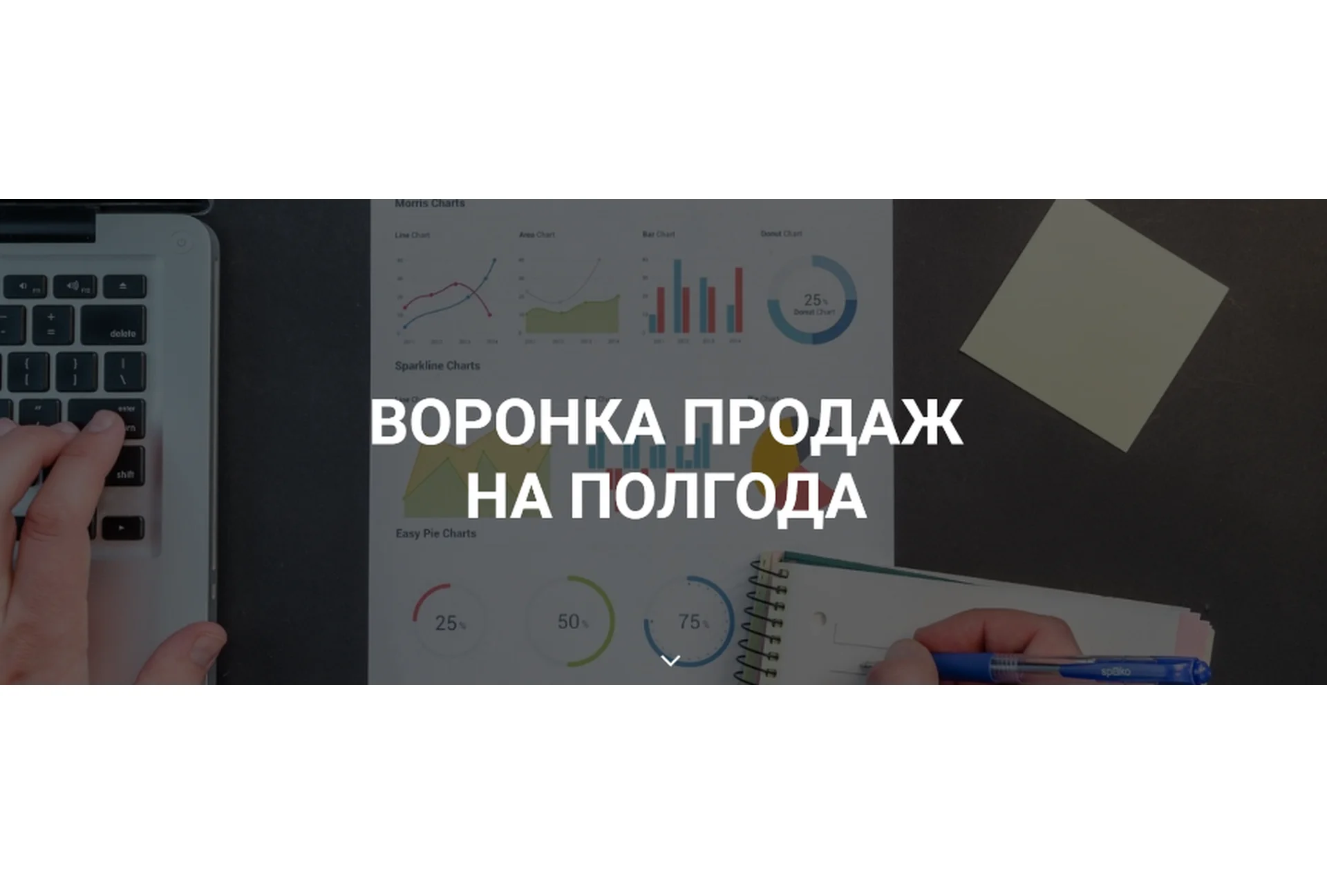 Воронка продаж на полгода (Лейли Ялунина), фото 1 из 1.