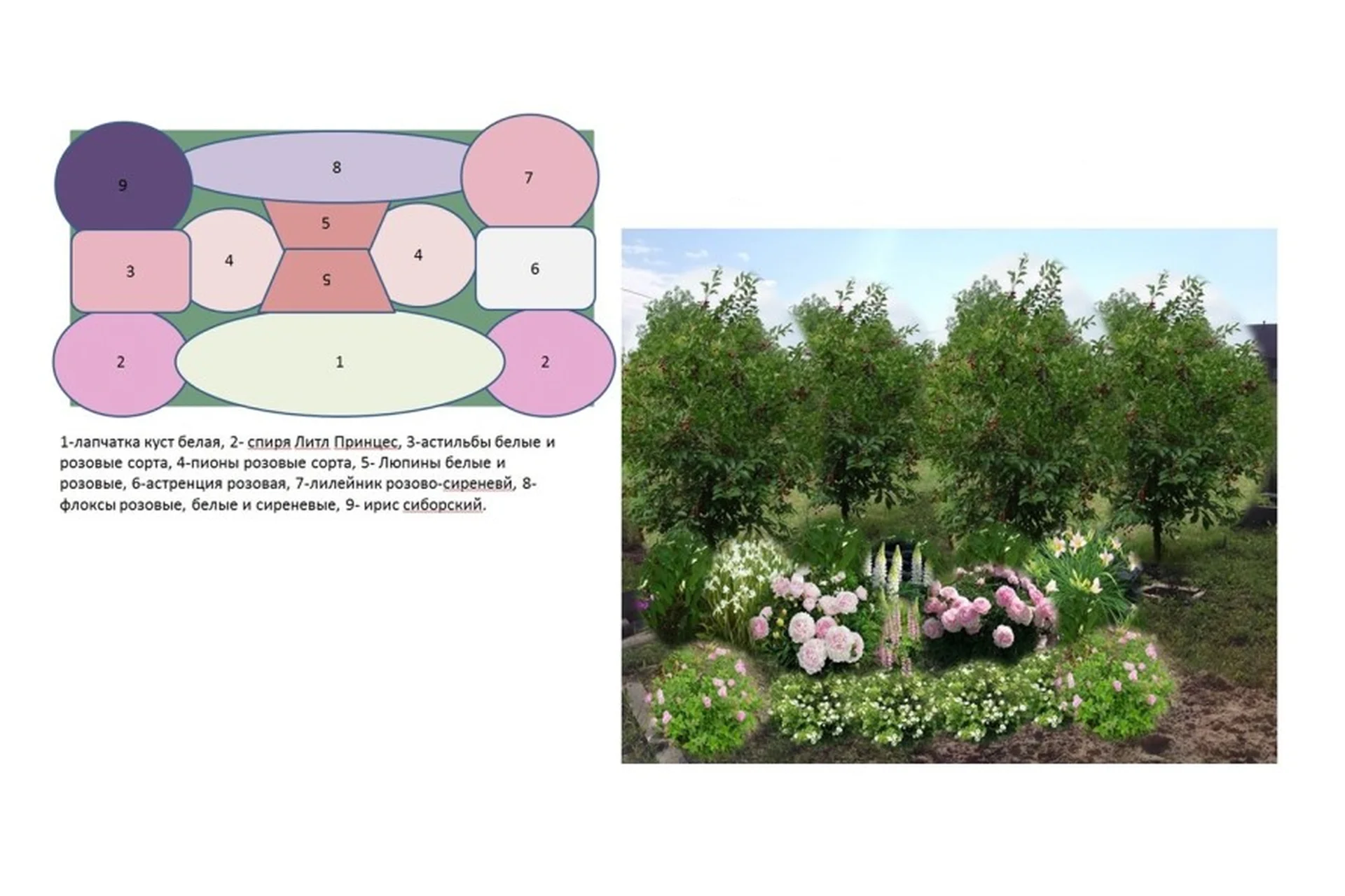 [Cад по-новому] Делаем цветник непрерывного цветения. Тариф - Слушатель (Наталья Мягкова), фото 1 из 1.