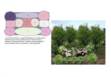 [Cад по-новому] Делаем цветник непрерывного цветения. Тариф - Слушатель (Наталья Мягкова)