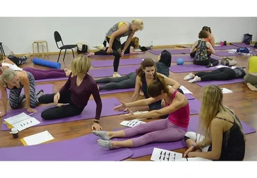 [Polestar Pilates Russia] Пилатес Polestar Pilates Mat 1, модуль 1