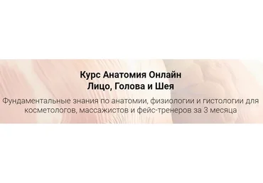 Анатомия онлайн лицо, голова и шея (Эмилия Савельева)