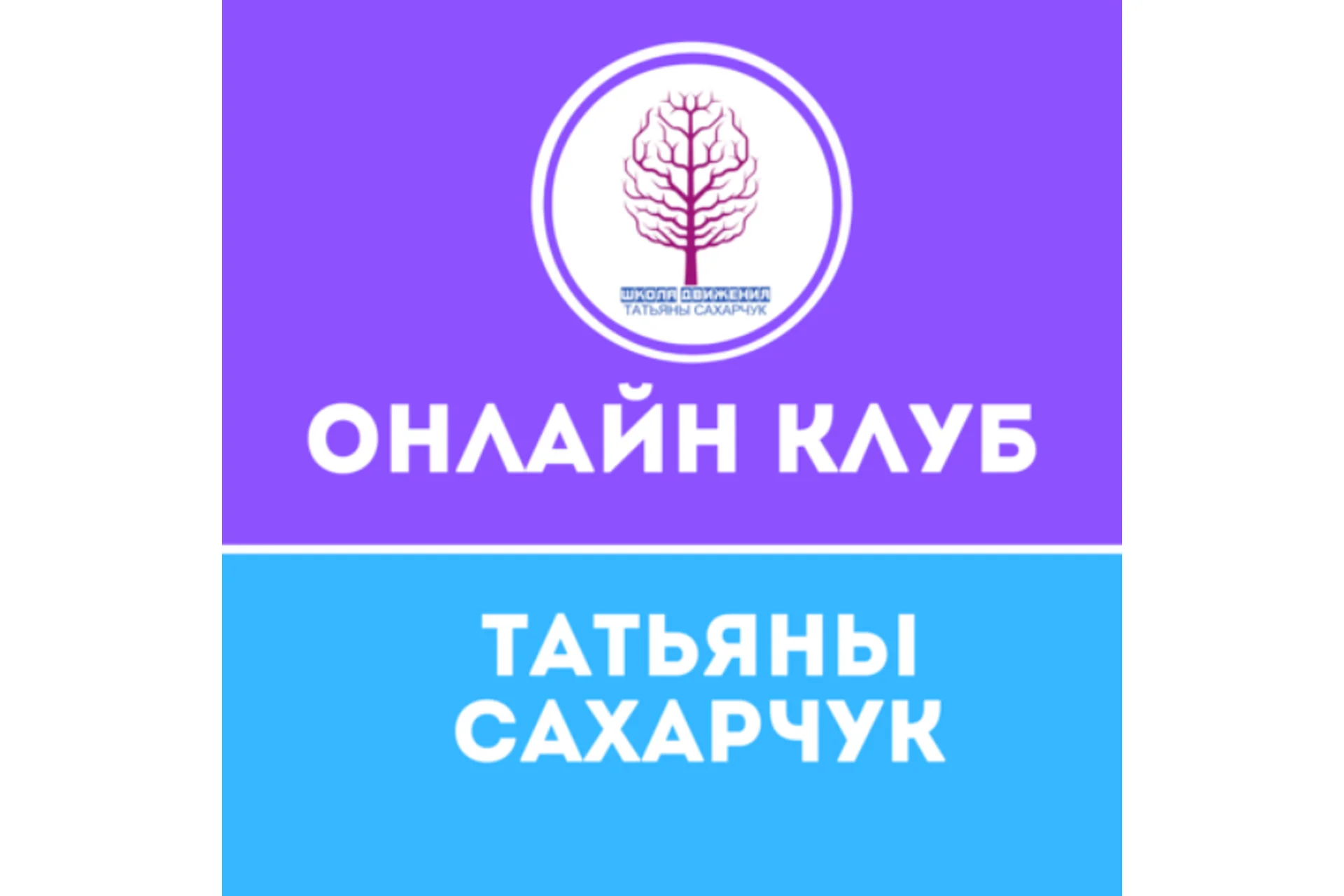 Онлайн клуб Школы движения - Коррекция эмоций. Ноябрь 2021 (Татьяна Сахарчук), фото 1 из 1.